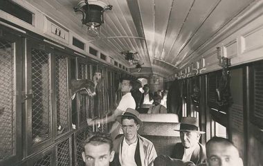 Greyhound-owners taking their dogs from Gosford to Dapto in a specially adapted train carriage.